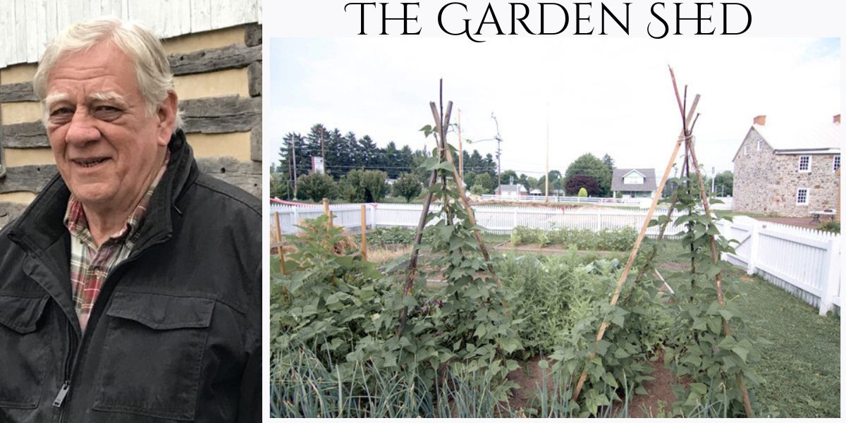 Dills Tavern: The Garden Shed: Vol 2