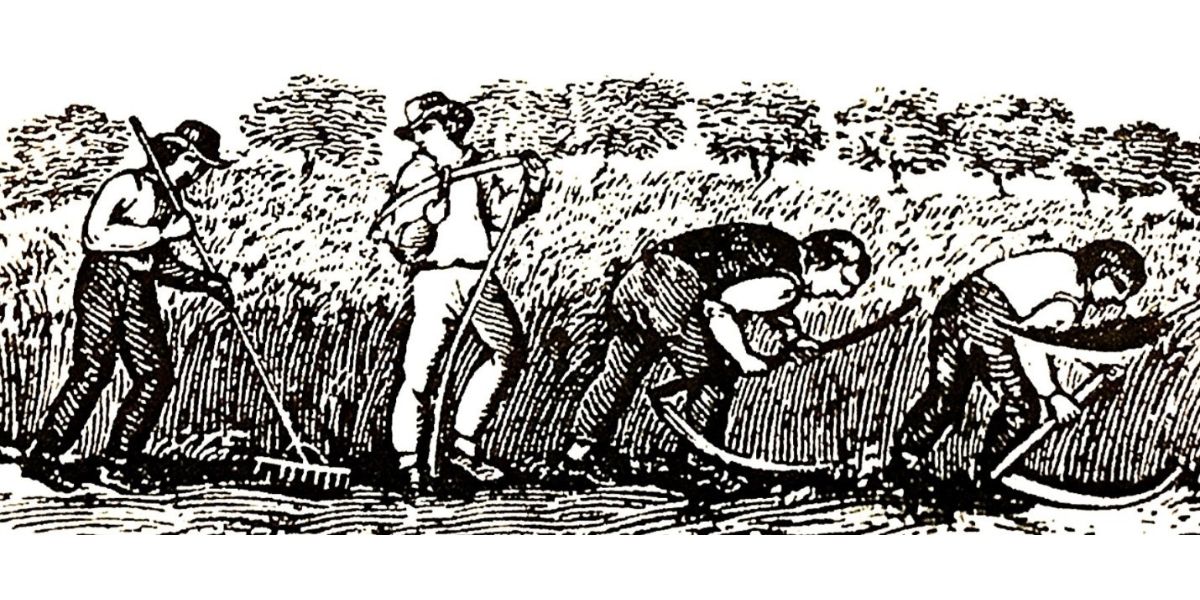 Impractical Distillers: Vol 1.8